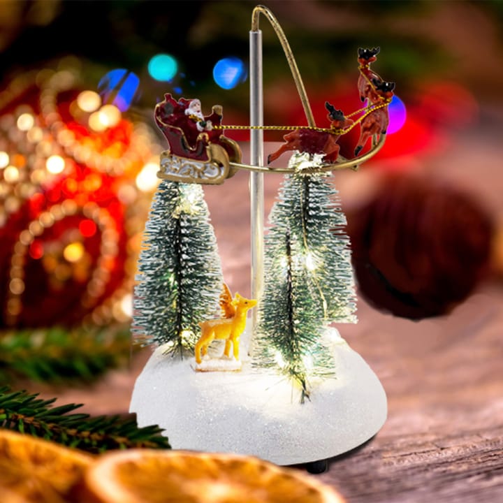 The Sleigh Over the Village